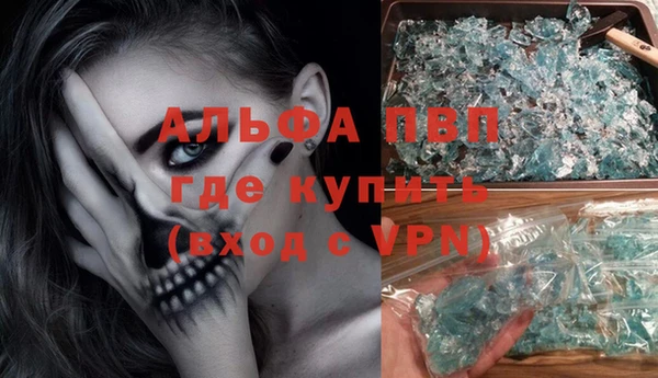 PSILOCYBIN Балабаново
