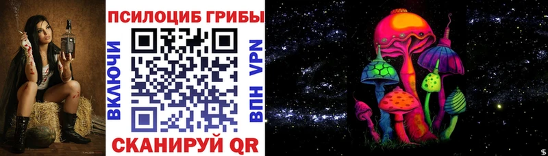 Псилоцибиновые грибы Psilocybe  Чухлома 